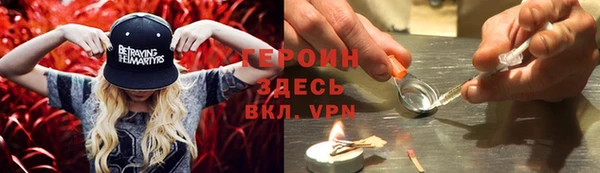 индика Богданович