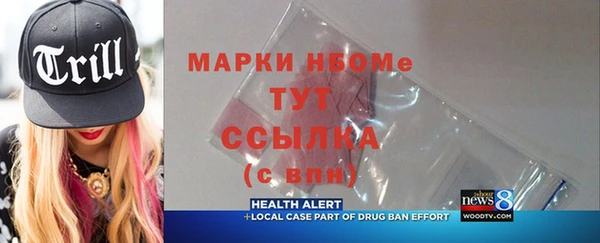 ECSTASY Бородино