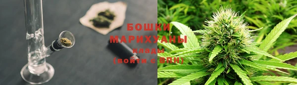 индика Богданович