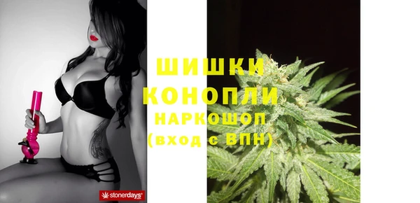 индика Богданович