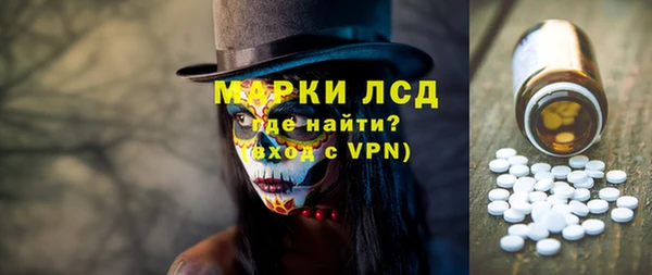 индика Богданович