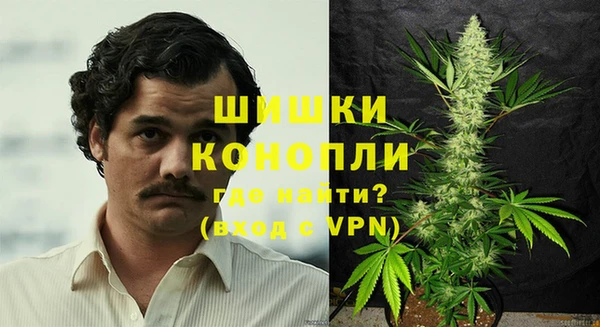 индика Богданович
