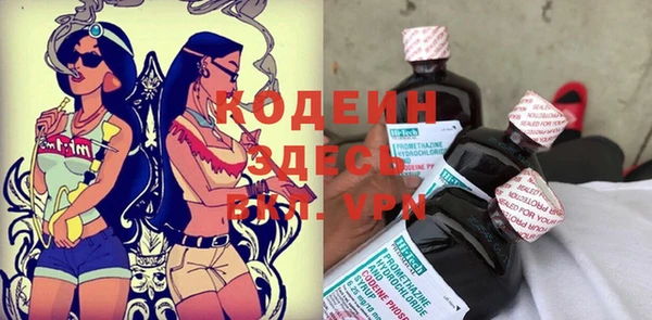 индика Богданович