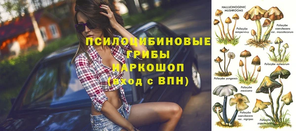 ECSTASY Бородино