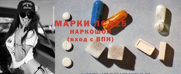 шишки Тавда