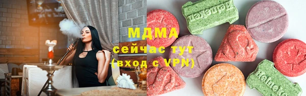 индика Богданович