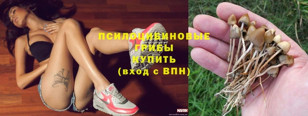 ешки Бронницы