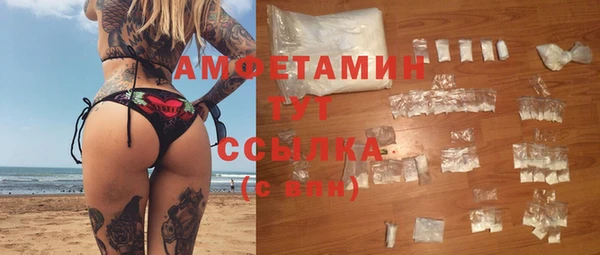 индика Богданович