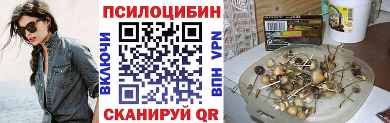 Псилоцибиновые грибы MAGIC MUSHROOMS  MEGA ONION  Славгород 