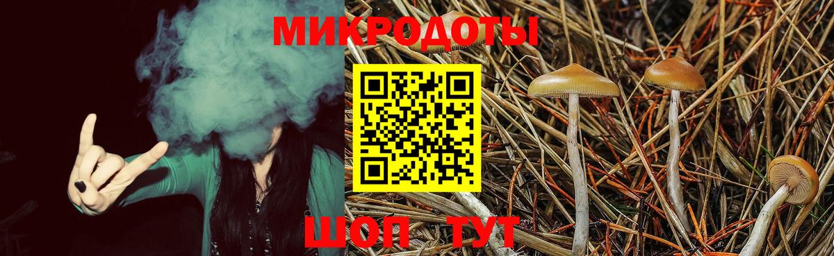 Псилоцибиновые грибы ЛСД Славгород