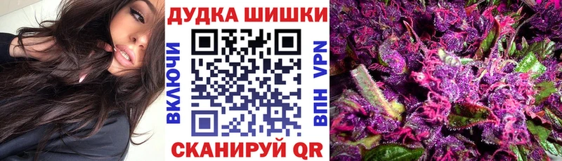 хочу наркоту  Славгород  KRAKEN рабочий сайт  Шишки марихуана SATIVA & INDICA 
